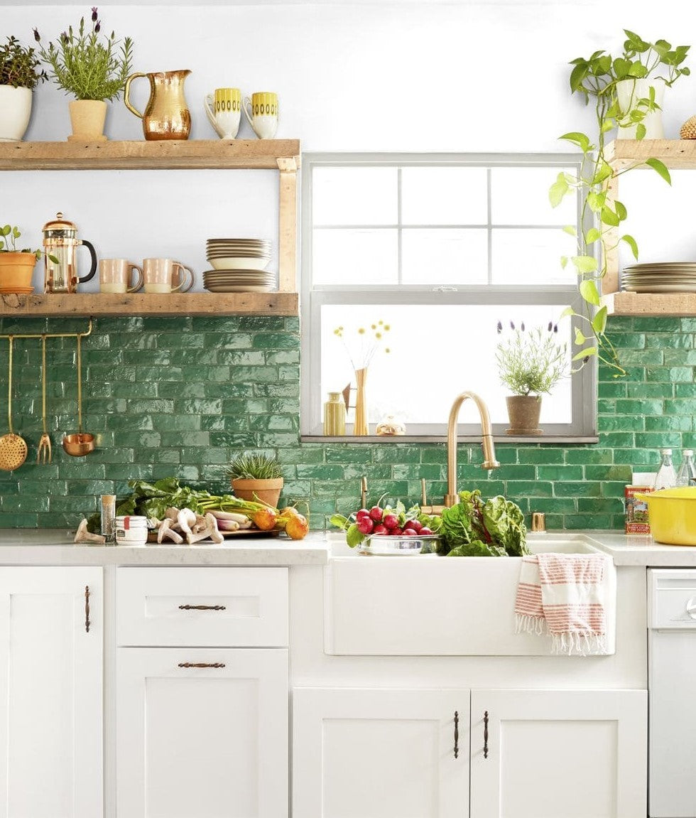 9 Houseplants that Make a Kitchen Statement