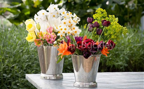 5 Steps to Long-Lasting Cut Flowers