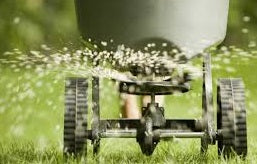 Which Fertilizer do You Recommend for feeding the Lawn?