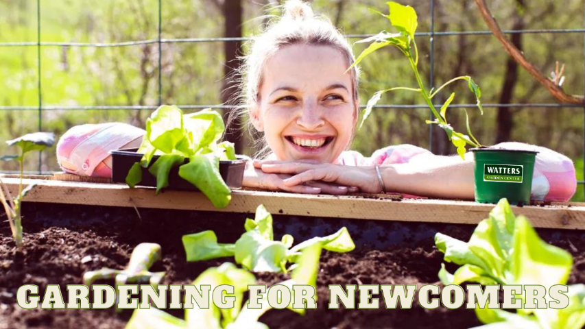 Gardening for Newcomers