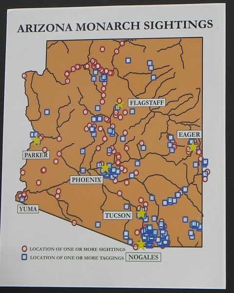 AZ Monarch Butterfly Migration - Map of AZ Monarch Sightings