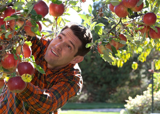 Master Gardener looking up at an Apple Tree