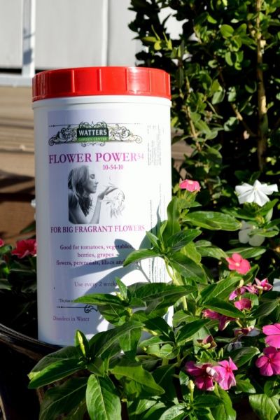 All Purpose Plant Food & Flower Power the Dynamic Duo of Mountain Soil