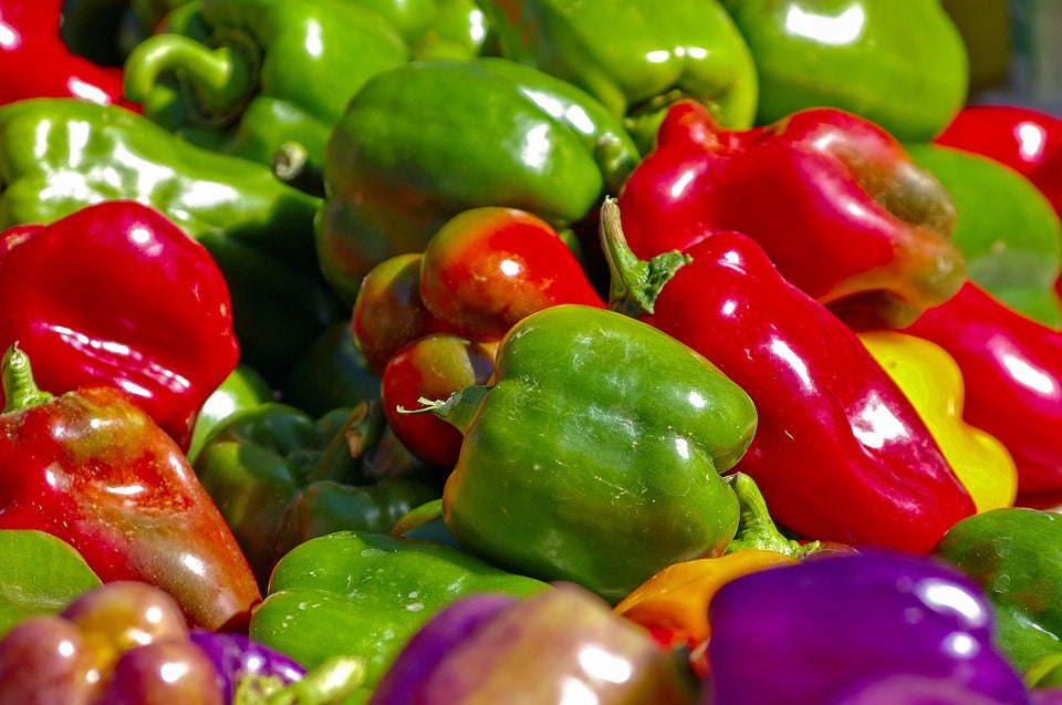 Sow & Grow Peppers Like a Pro