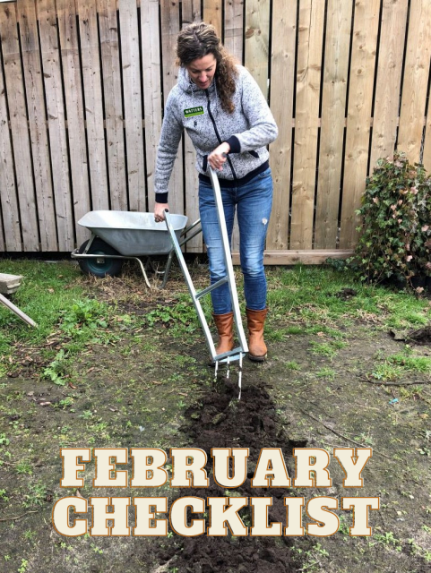 February Checklist for what to do in the garden