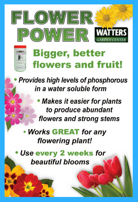 Flower Power "It's like a Snickers Bar for Your Plants"