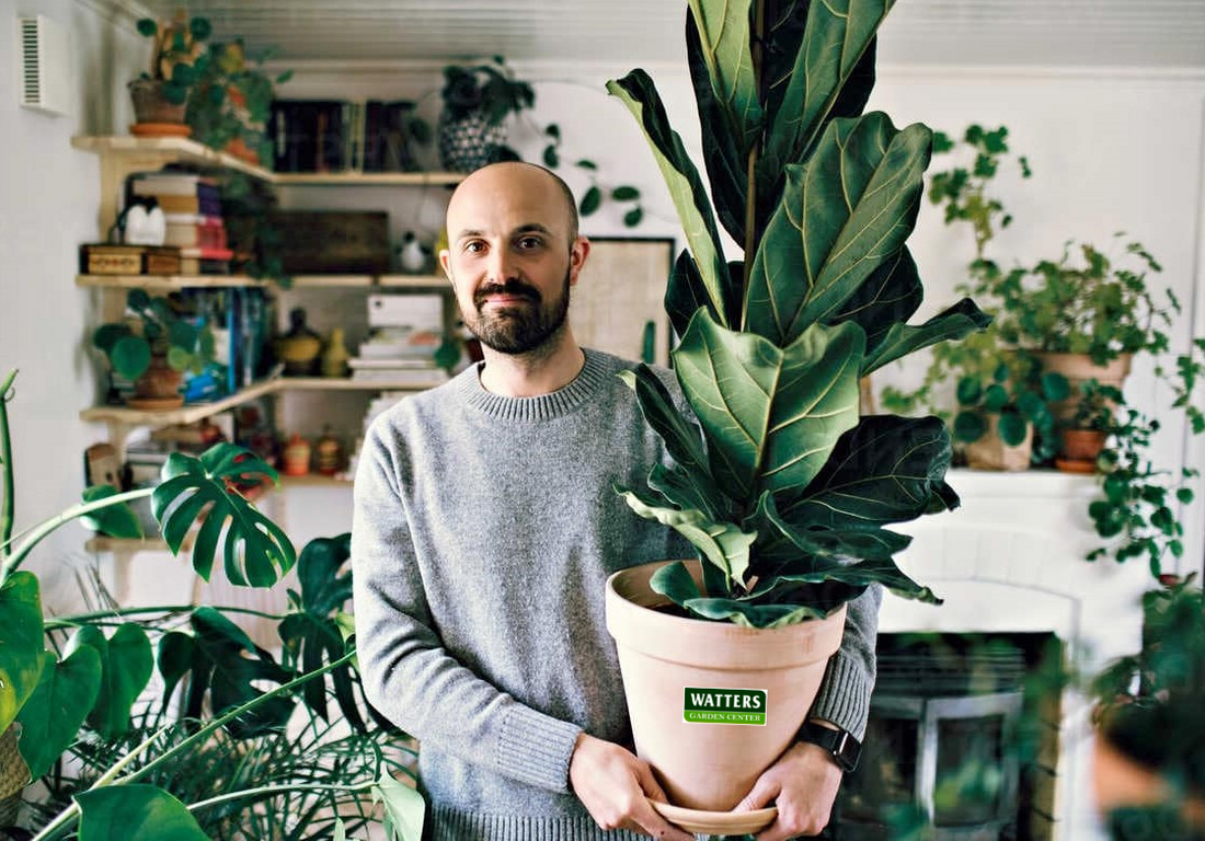 Guy Holding Houseplant