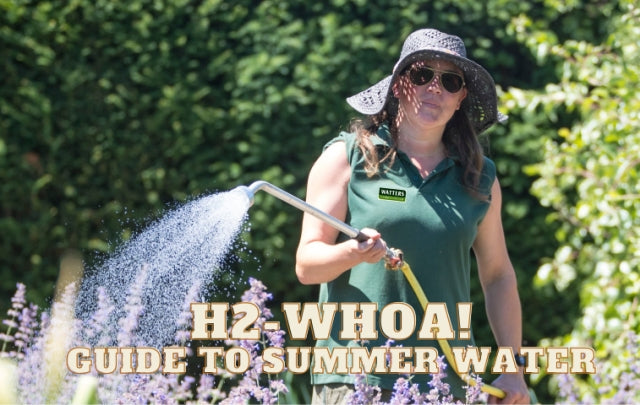 Guide to Summer Watering