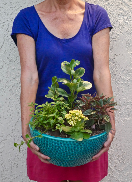 container garden