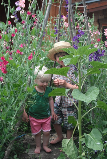 Reading a Seed Packet for Better Plants this Spring