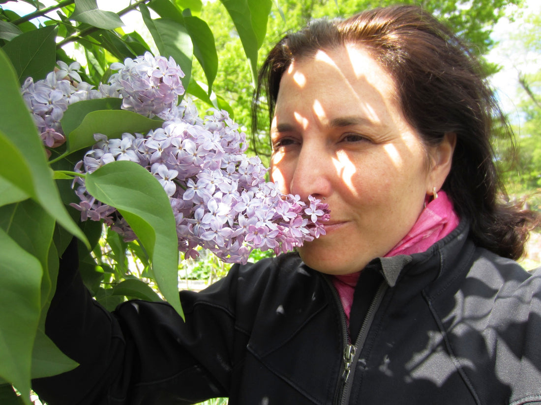 42 Best-Smelling Flowers for Mountain Landscapes