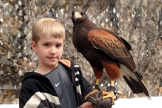 Large Raptors to Descend on Watters Garden Center