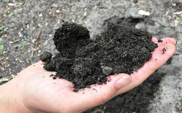 4 Super-Easy Garden Soil Tests