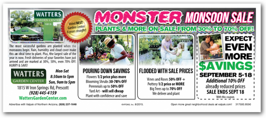 2015 Monster Monsoon Sale