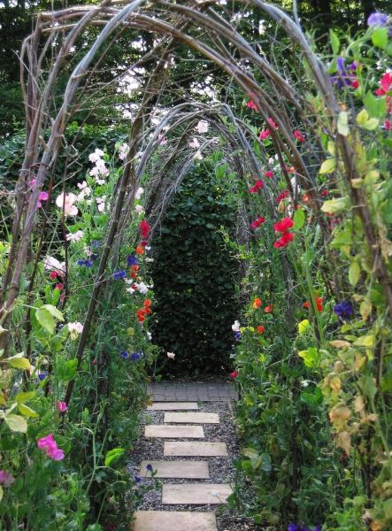 Seed Packets and Sweet Peas