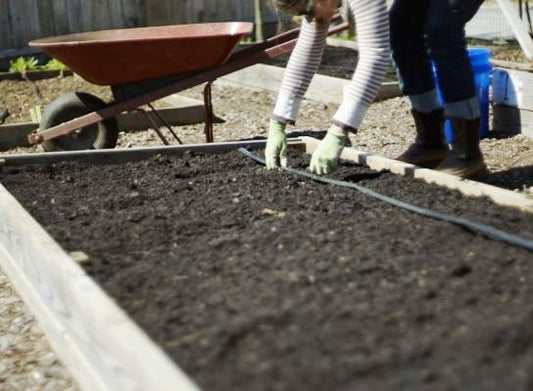 Preparing Garden Soils for Spring Planting