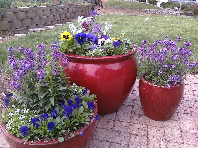 Container Gardens:  Easy Gardening with Exciting Results