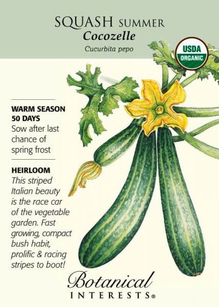 Summer Squash Guide