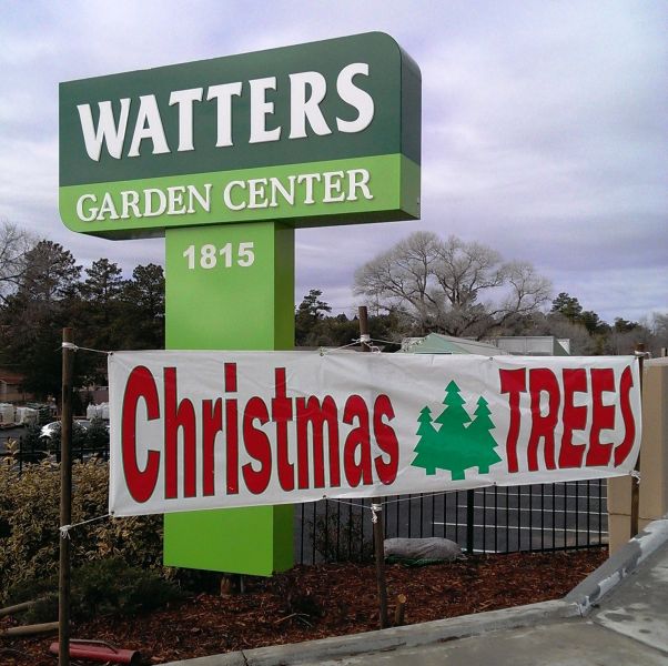 Buy the Freshest Tree on the Lot