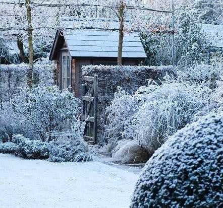 The Weatherproof Garden