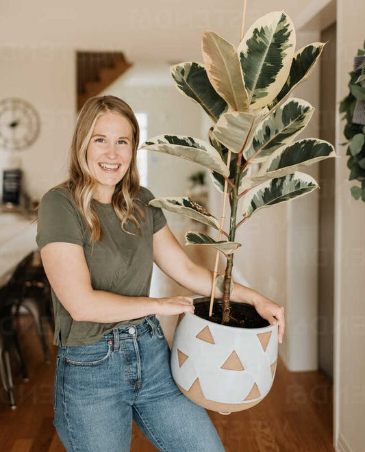 Woman Holding a Houseplant