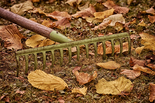 8 Essentials to a Healthy Autumn Landscape