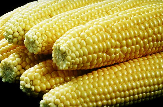 Classic Corn