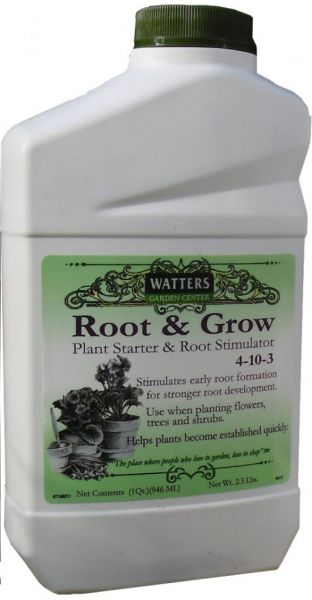 Root & Grow Plant Starter