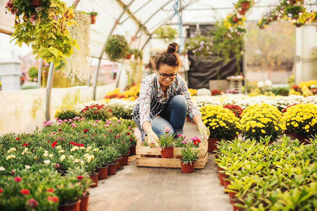 Insider Tips to Mountain Gardening